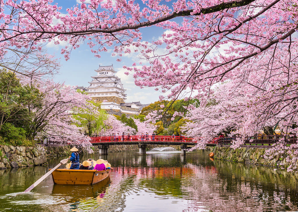 Árbol de Sakura